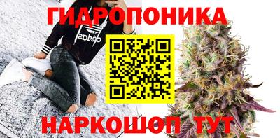 гидра Ярцево