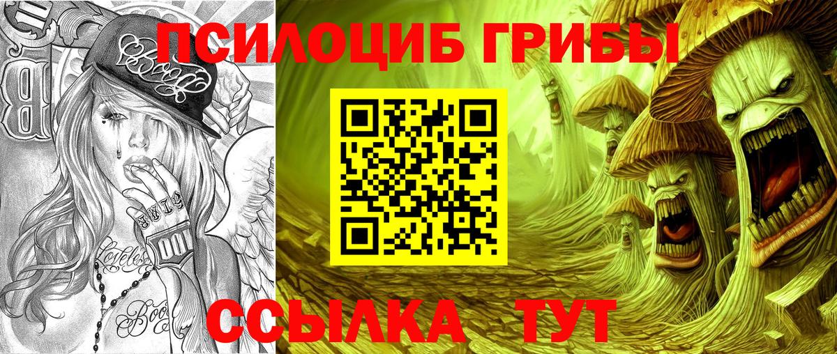 Псилоцибиновые грибы Cubensis  Вход с VPN  купить наркотик  Зеленогорск 
